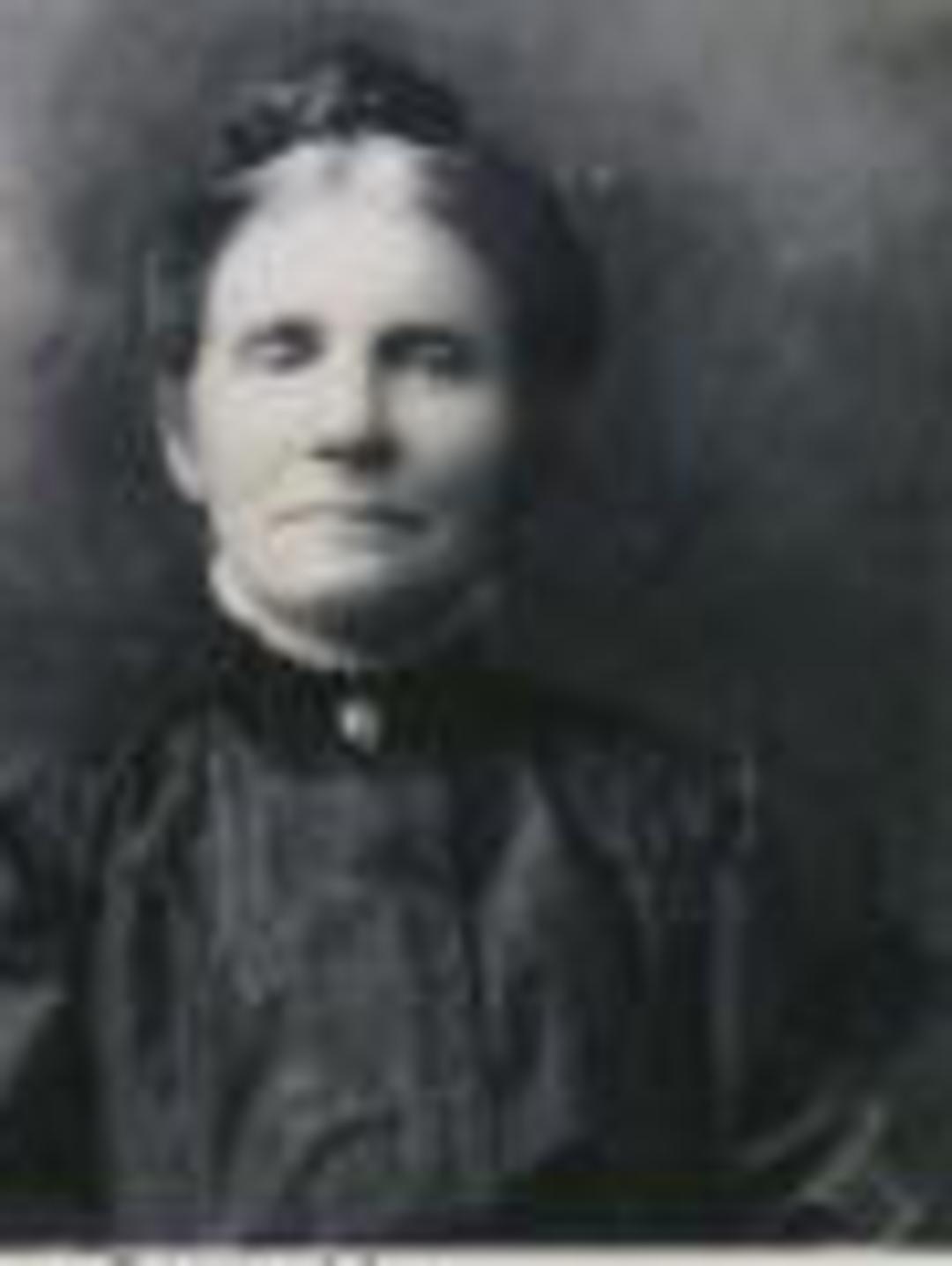 Oliva Maria Löfdahl (1841 - 1921) Profile